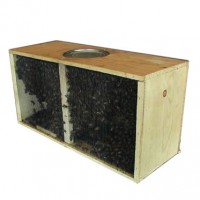 2lb Carniolan Package Bees 