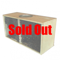 (SOLD OUT) Russian 3lb Package Bees 